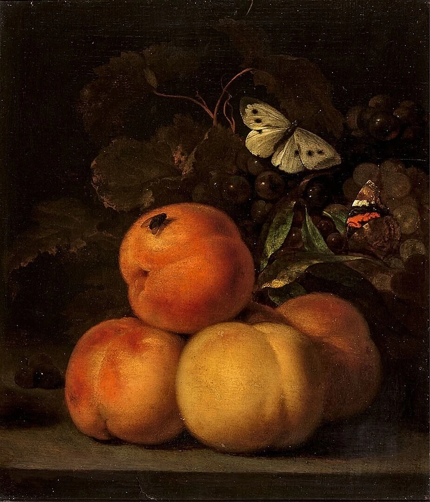 Natura morta con pesche - Museo Boijmans Van Beuningen